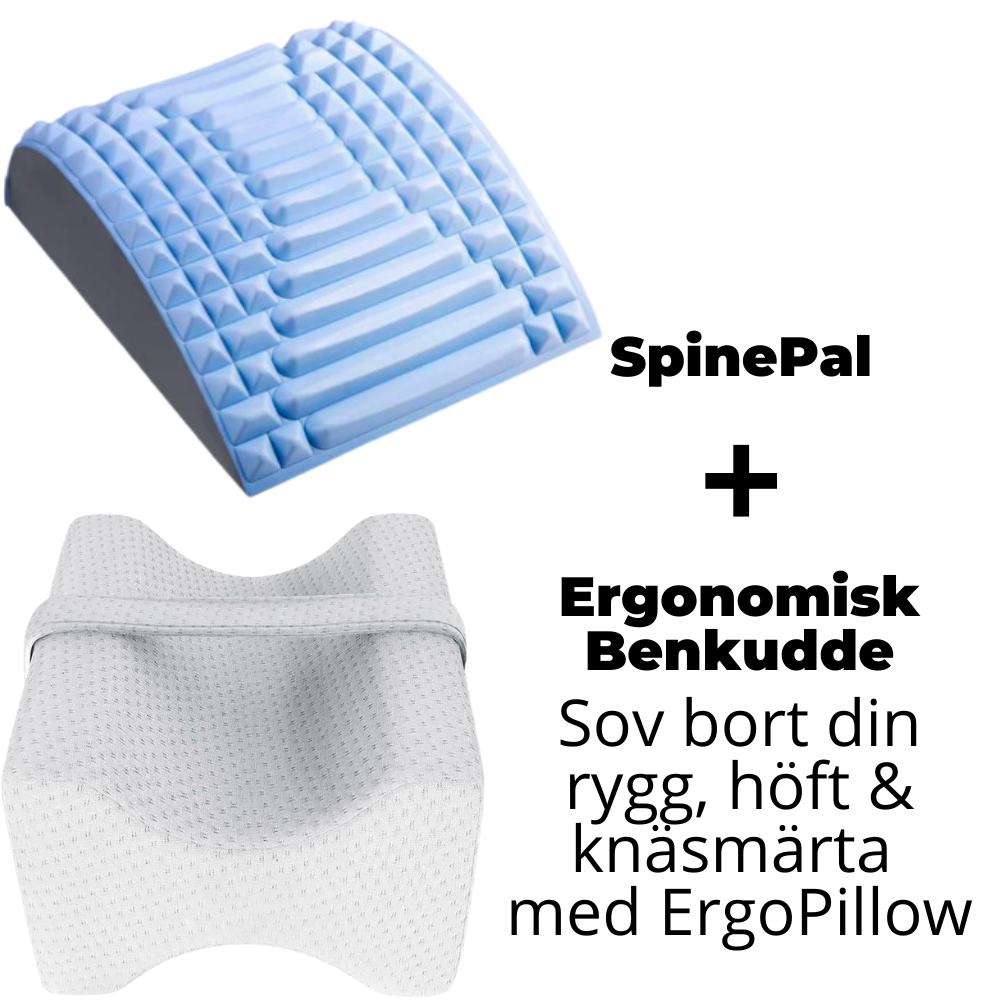 SpinePal + ErgoPillow Bundle