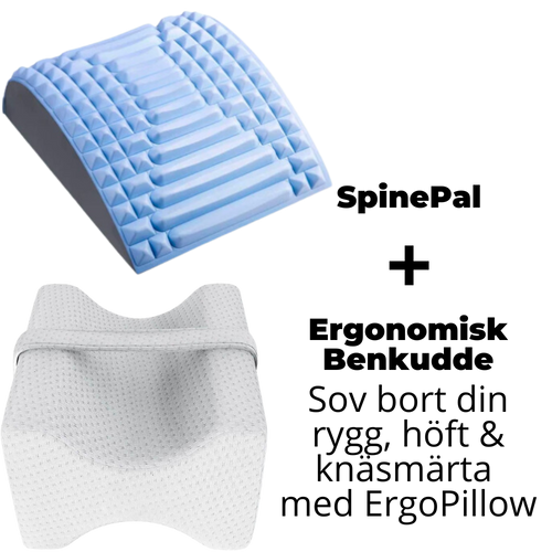 SpinePal + ErgoPillow Bundle